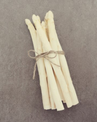 bamboo 0
