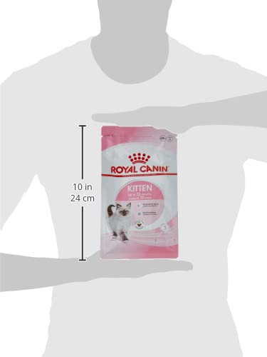 Royal Canin Second Age Kitten Food, 400 Grams, Dry Food containing Antioxidants with no artificial colors & flavors, Supports Brain Development & Microbiome, Promotes a strong Immune System