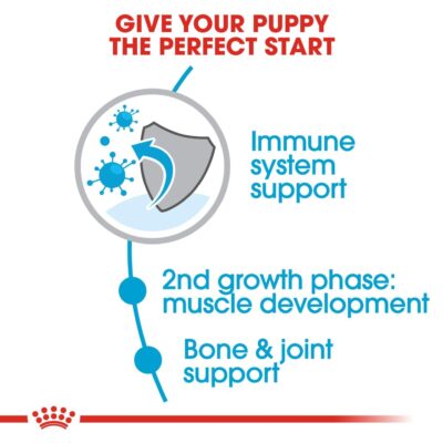 Royal Canin Giant Junior Dog Food, 15 Kg, Dry Food, Supports Immune System & Muscle Mass Development