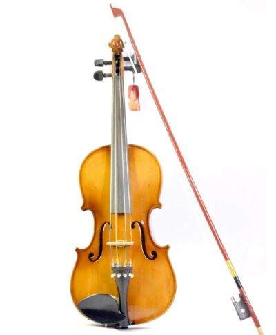 NGM Musicals Handcrafted Solid Wood Acoustic Violin with Carrying Case,Rosin, Bow (1/2)