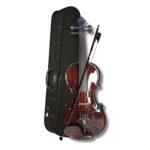 Musical Works Quality Violin Bakan Wood for Music Enthusiasts and Students With Box,Bow,Rosin All accessories are made by pure wood, no plastic used.