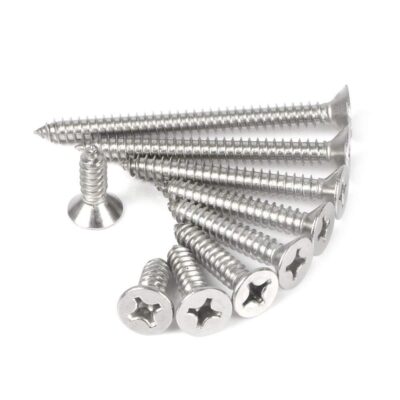 Mokshit 0.5 Inch Stainless Steel Phillips Star Head Screws (100 Pcs)