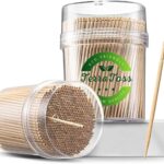 TerraToss Wooden Toothpicks | 2 Packs of 250 Toothpick Sticks (500 Sticks) | Sturdy Smooth Finish Tooth Picks Sticks | Toothpicks Wooden (500)
