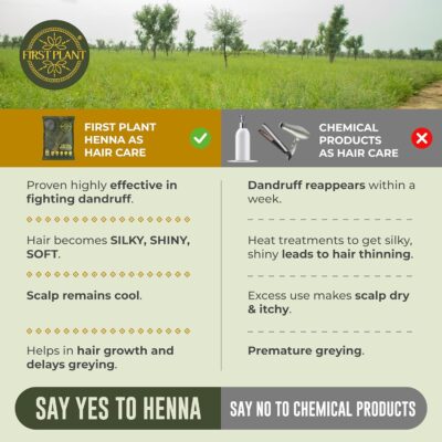 FIRST PLANT - Premium Rajasthani HENNA POWDER | 100% Organic Henna Powder for Hair Colour and Hair Care I GI Tagged Henna directly from Farms (350 gm)