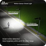Murphy 60W Solar Street Light | 96 SMD LEDs | 8000mAh Battery | 9hr 30min Backup | Auto Dusk-to-Dawn | Radar Sensor 8–10m | Waterproof Outdoor Solar Lamp Pack of 1